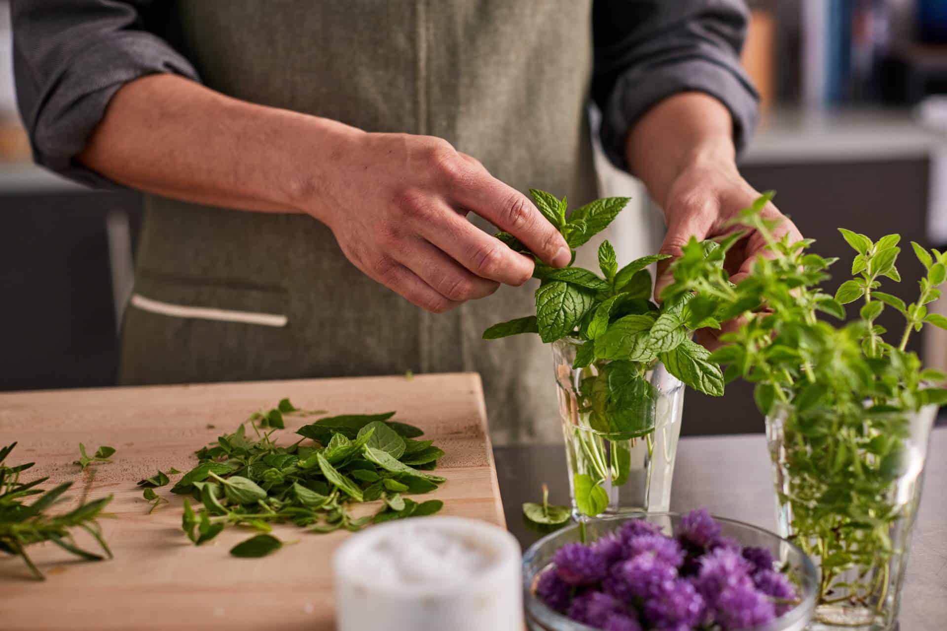 A person in an apron arranging fresh mint leaves in glasses while surrounded by herbs and purple flowers on a kitchen counter.